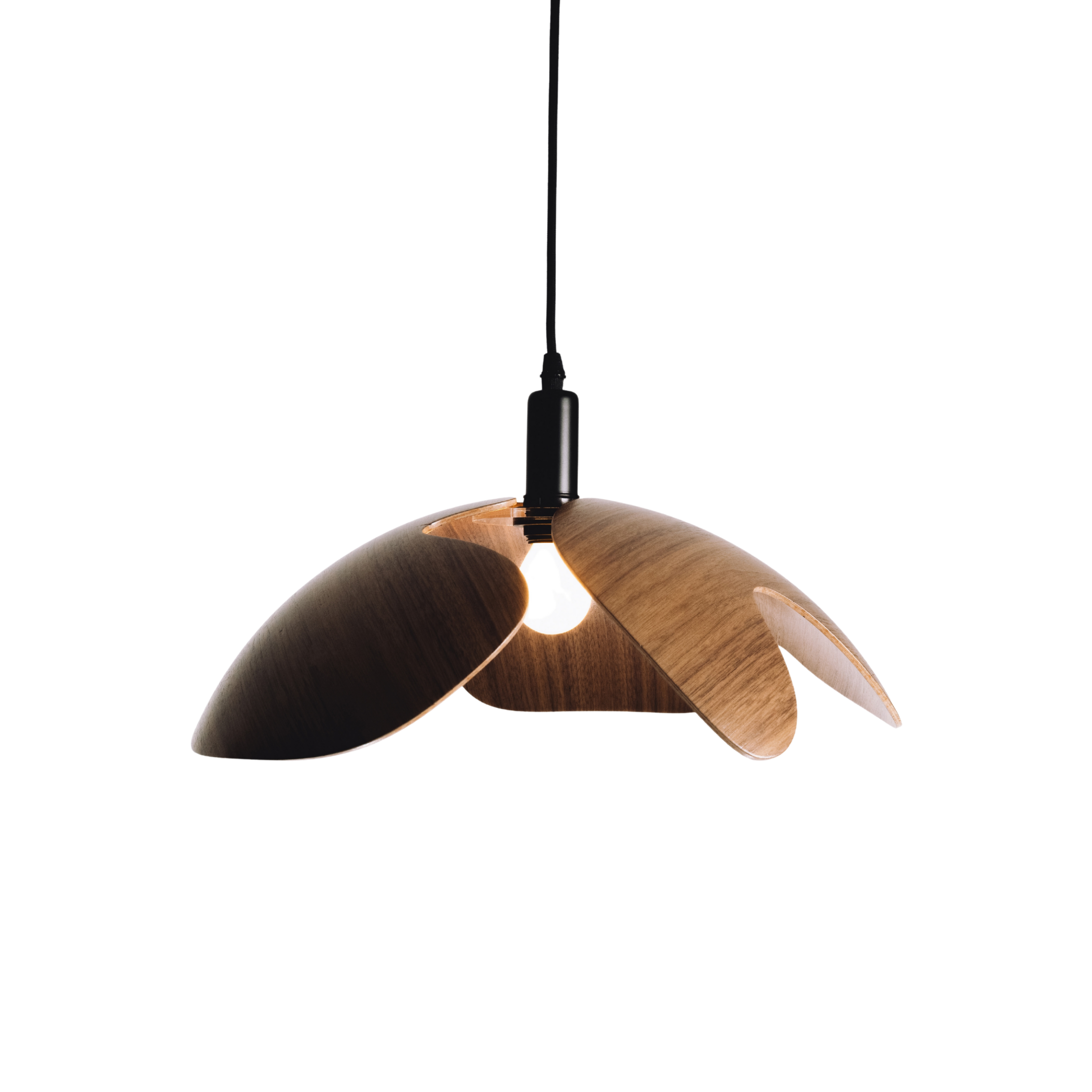 Wooden pendant light with a white background