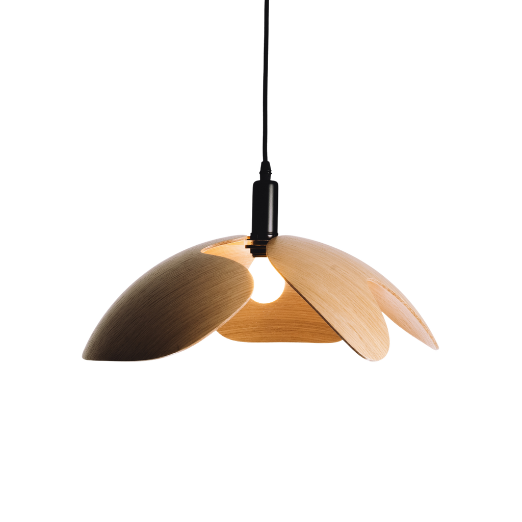 Modern pendant light with wooden design on a white background