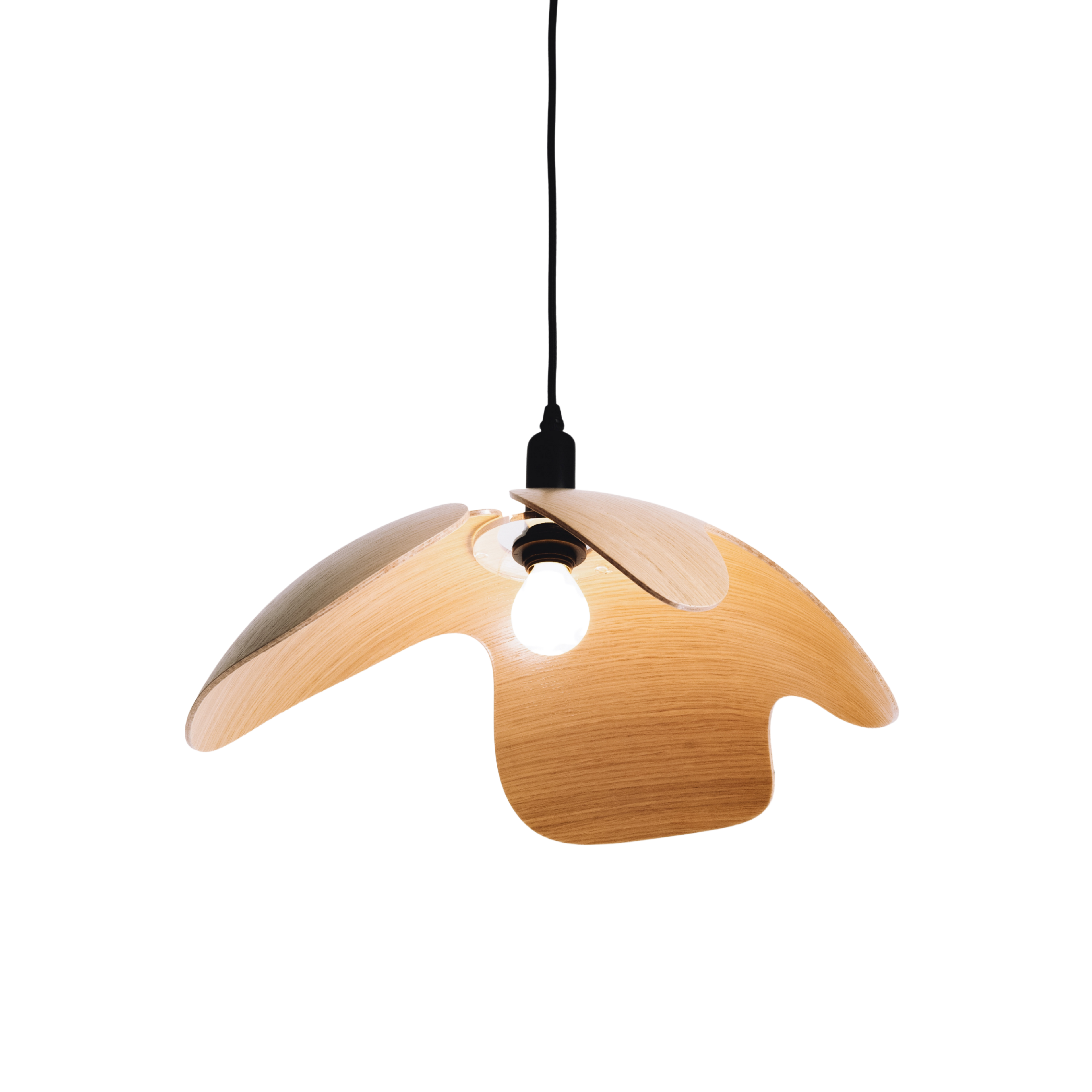 Wooden pendant lamp on a white background