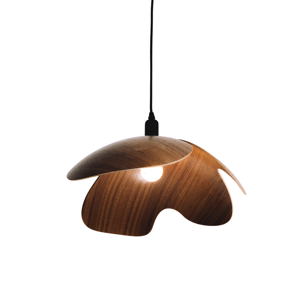 Wooden pendant lamp on a white background