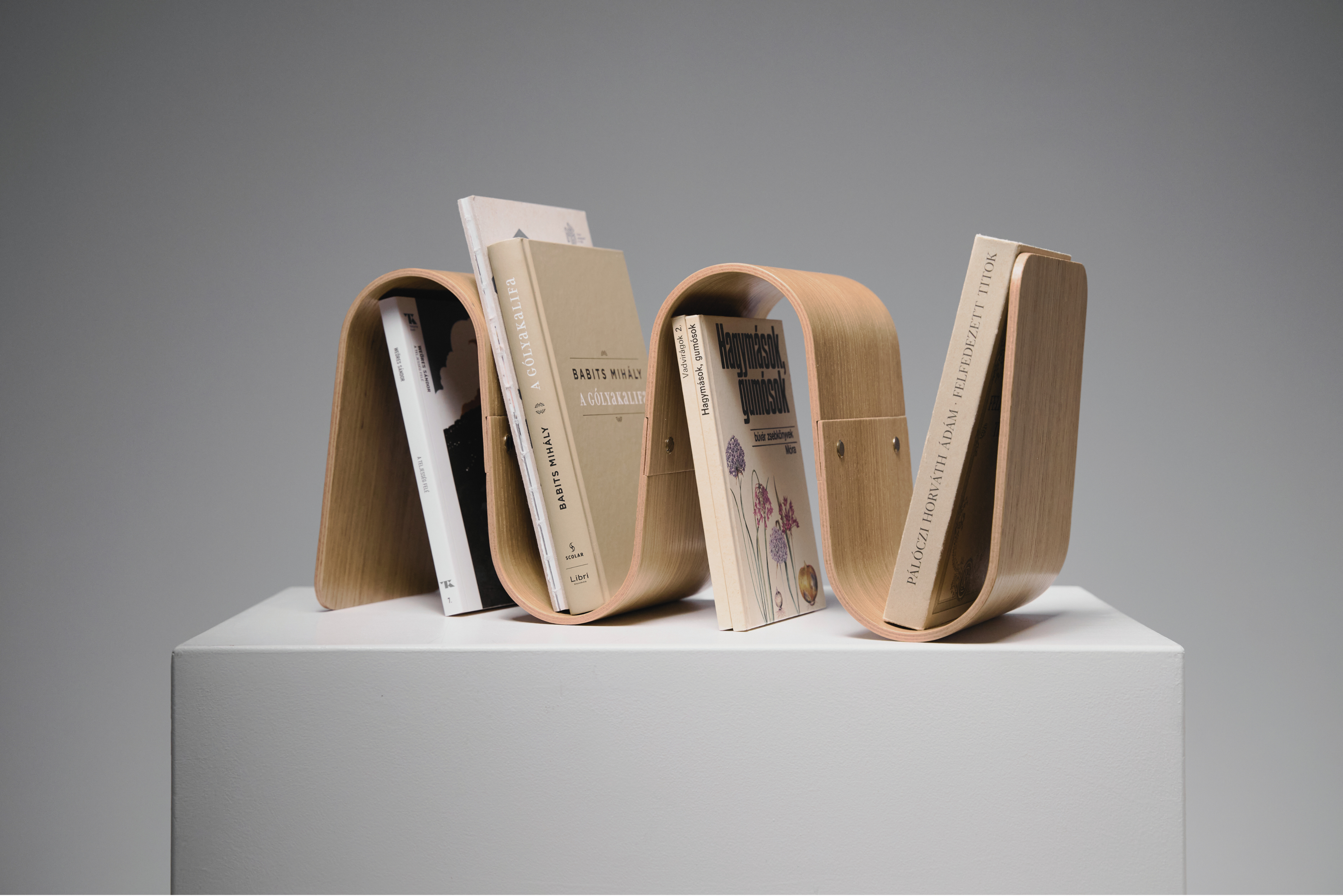 Bookend shaped like a wave holding books on a gray background