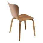 ANDY chair (walnut)